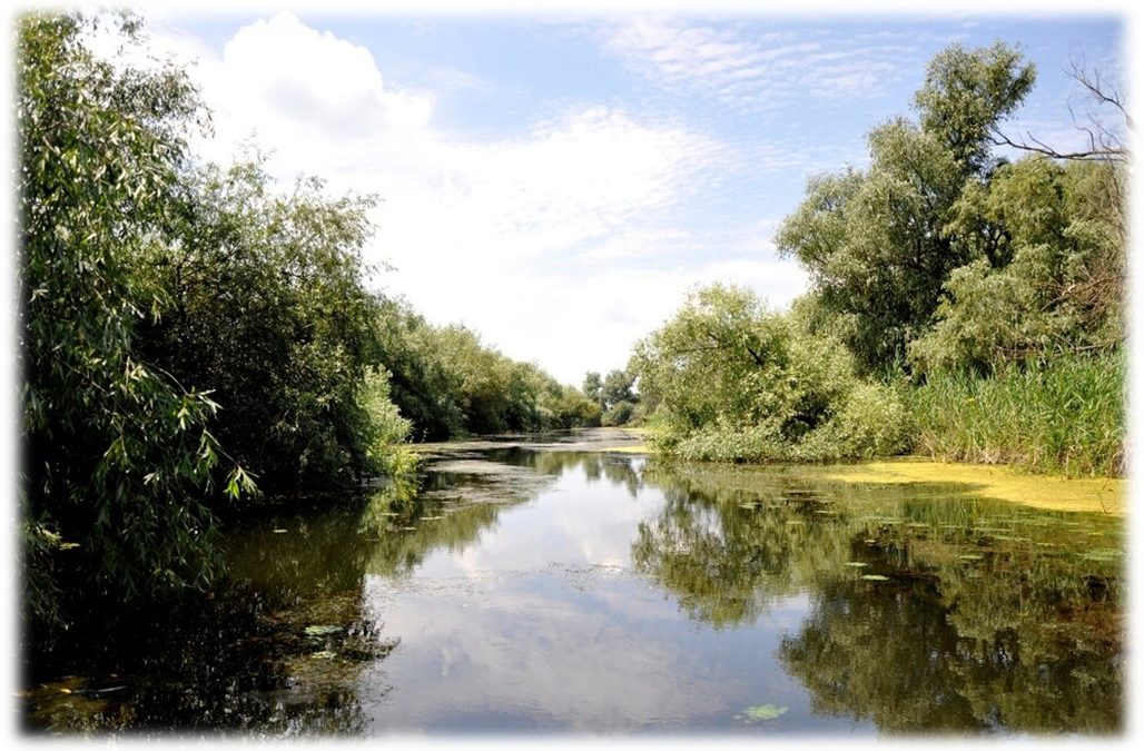 Danube Delta’s biodiversity