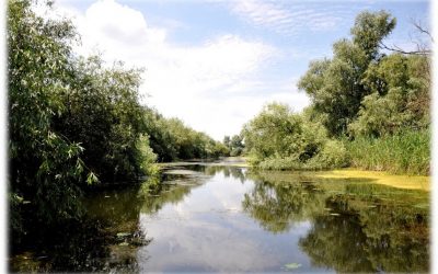 Danube Delta’s biodiversity