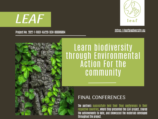 Newsletter vol. IV – keep up with LEAF!