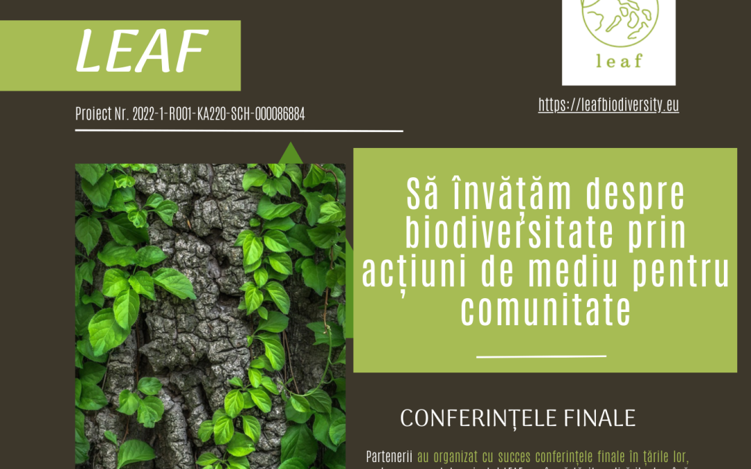 Buletin informativ vol. IV – Fiți la curent cu proiectul LEAF!