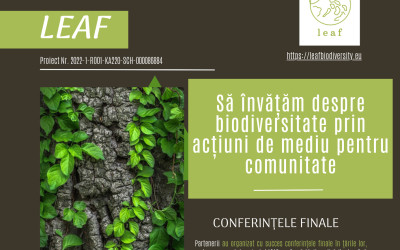 Buletin informativ vol. IV – Fiți la curent cu proiectul LEAF!